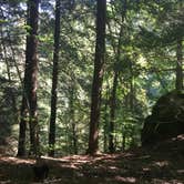 Review photo of Mohican State Park Campground by Shelly S., September 12, 2016