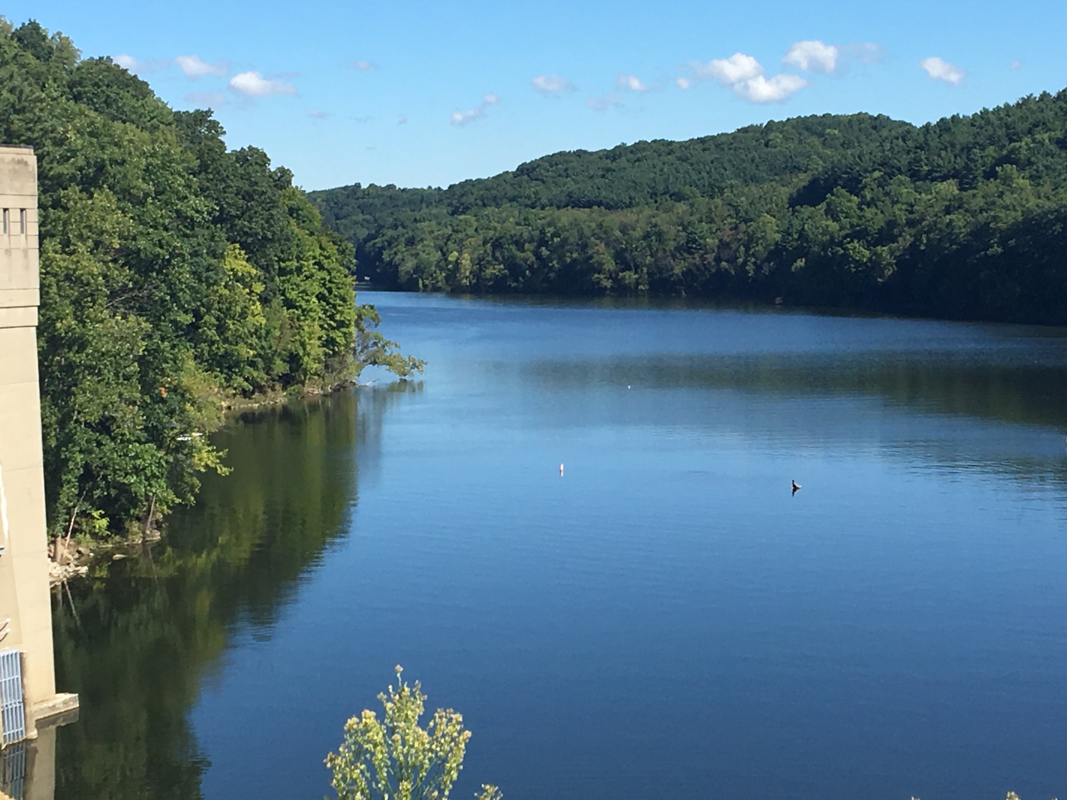 Camper submitted image from Mohican State Park - 4