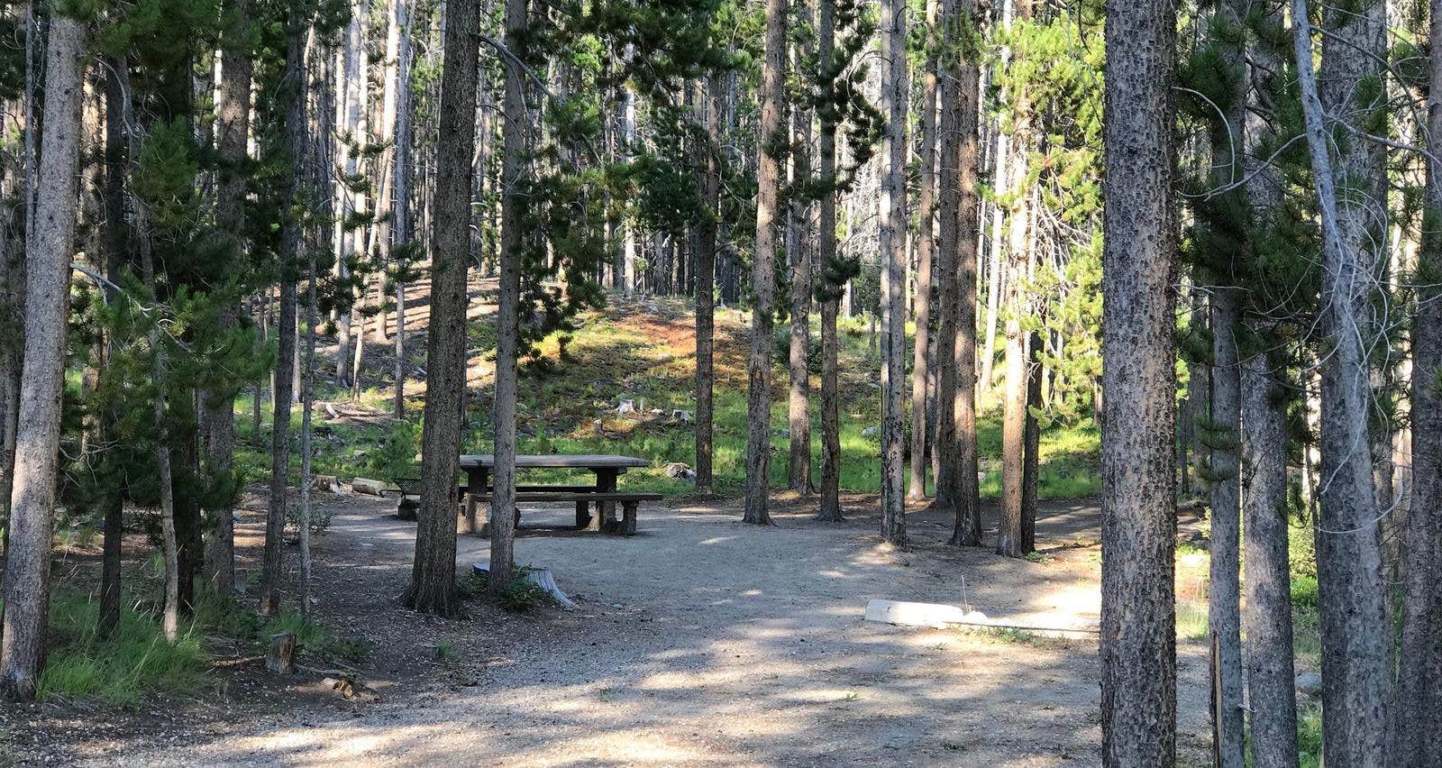 Camper submitted image from Spring Hill Campground - 2