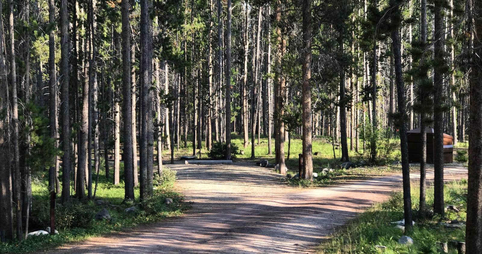 Camper submitted image from Spring Hill Campground - 5