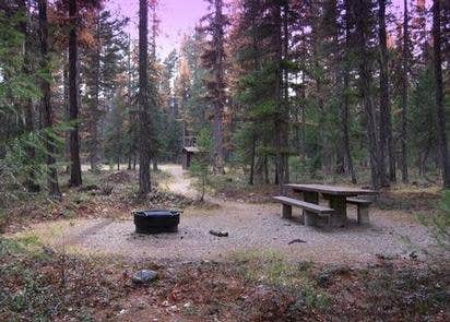 Camper submitted image from Timberlane Campground - 1