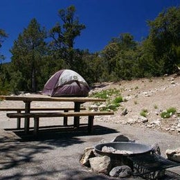 Public Campgrounds: Hilltop