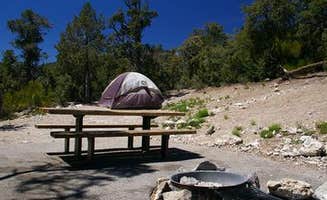 The Dyrt's photo at Hilltop near Las Vegas, NV