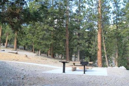 Camper submitted image from McWilliams Campground - 4