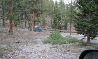 The Dyrt's photo at McWilliams Campground near Tecopa, CA