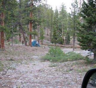 Camper-submitted photo from McWilliams Campground