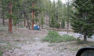 Camping near  Blue Tree Group Camp: McWilliams Campground, Mount Charleston, Nevada