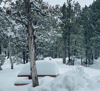 Camper-submitted photo from Mather Campground — Grand Canyon National Park