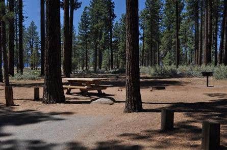 Camper submitted image from Nevada Beach Campground and Day Use Pavilion - 1