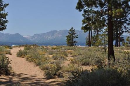 Camper submitted image from Nevada Beach Campground and Day Use Pavilion - 4