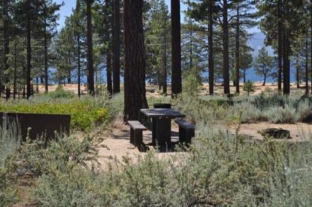 Camper submitted image from Nevada Beach Campground and Day Use Pavilion - 2