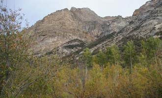 Camping near Coyote Cove — South Fork State Recreation Area: Thomas Canyon, Lamoille, Nevada