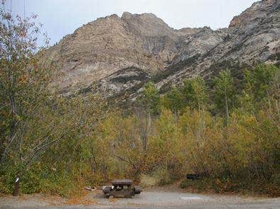 Camper submitted image from Humboldt National Forest Thomas Canyon Campground - 1