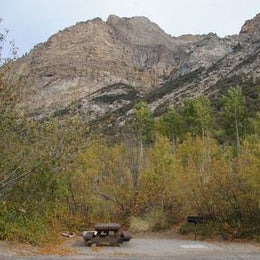 Public Campgrounds: Thomas Canyon