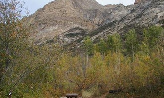 Camping near Sheep Camp in Ruby Valley: Thomas Canyon, Lamoille, Nevada