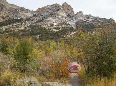 Camper submitted image from Humboldt National Forest Thomas Canyon Campground - 4