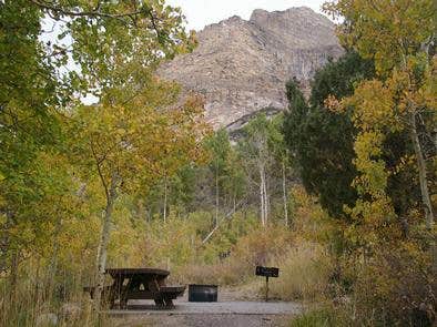 Camper submitted image from Humboldt National Forest Thomas Canyon Campground - 5