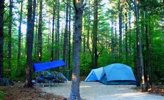 The Dyrt's photo at Cold River near North Waterford, ME