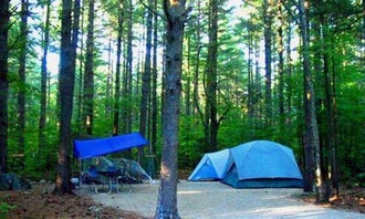 Camping near Crocker Pond: Cold River, Chatham, New Hampshire