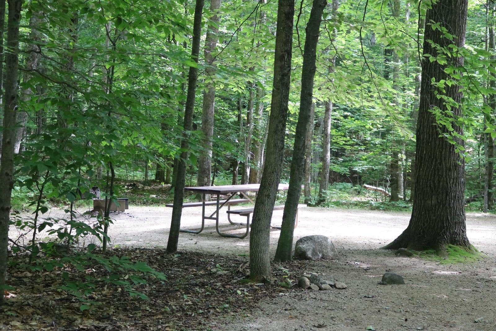 Camper submitted image from Covered Bridge - 1