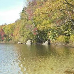 Public Campgrounds: Russell Pond Campground