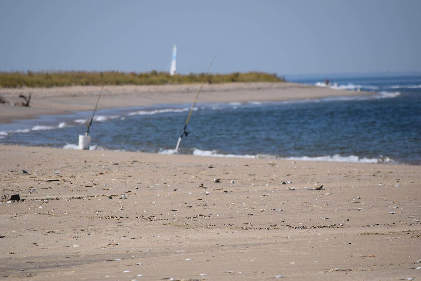 Camper submitted image from Sandy Hook — Gateway National Recreation Area - 4