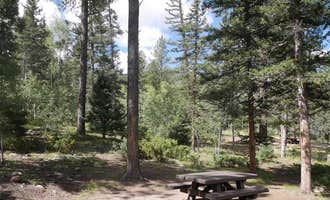 Camping near Upper La Junta: Agua Piedra Campground, Llano, New Mexico
