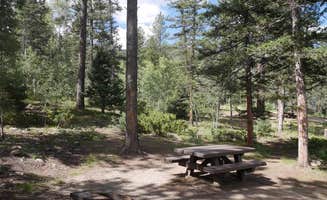 The Dyrt's photo at Agua Piedra Campground near Llano, NM