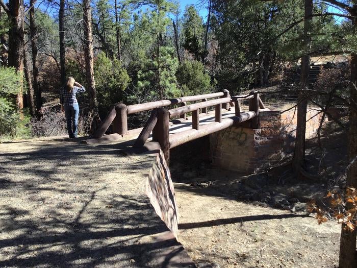 this is a picture of the trail at the campground



Bridge leading to the trail

Credit: USFS Russell Berman