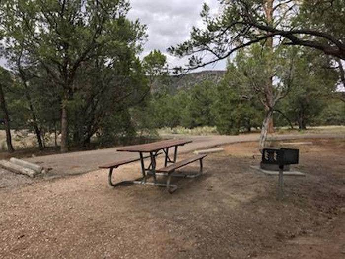 Camper submitted image from Coal Mine Campground - 4