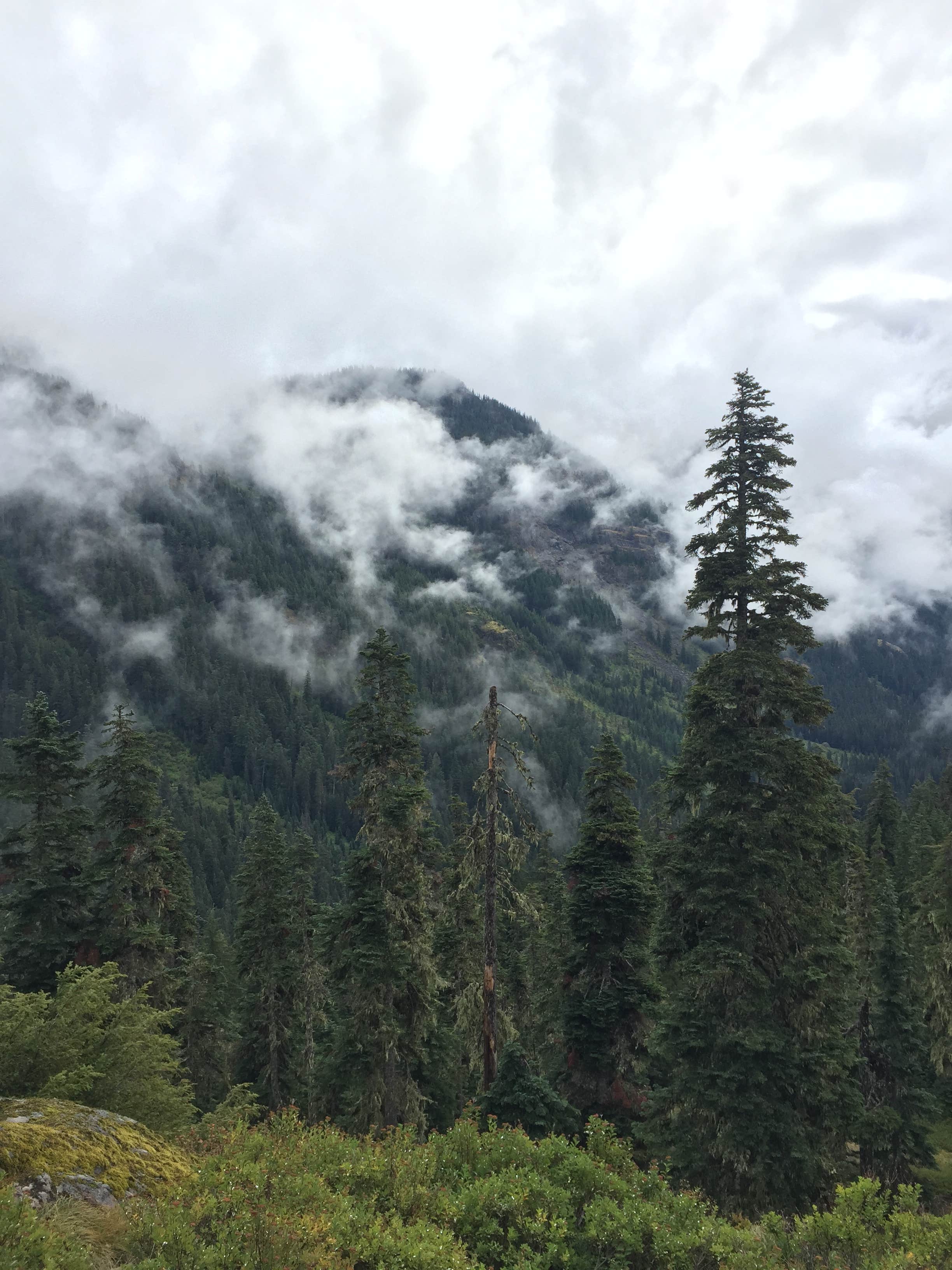 Camper-submitted photo at Apgar Campground — Glacier National Park in Montana