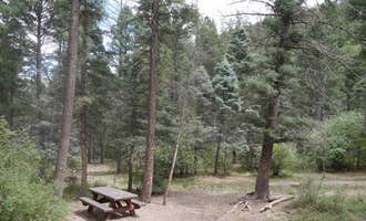 Camping near Cuchilla Campground: Columbine Campground (NM), Questa, New Mexico