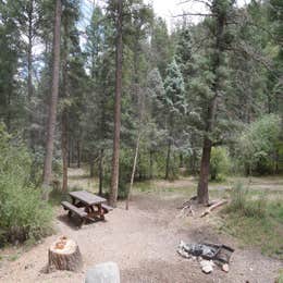 Public Campgrounds: Columbine Campground (NM)