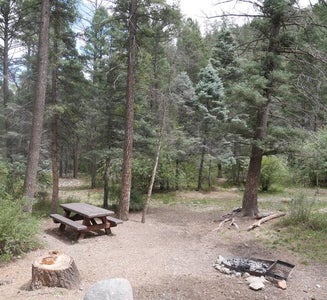 Camper-submitted photo from Columbine Campground (NM)