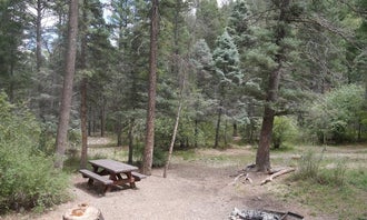 Camping near Road Runner RV Resort: Columbine Campground (NM), Questa, New Mexico