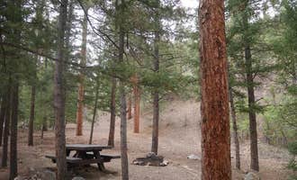 Camping near Columbine Campground (NM): Elephant Rock Campground, Red River, New Mexico