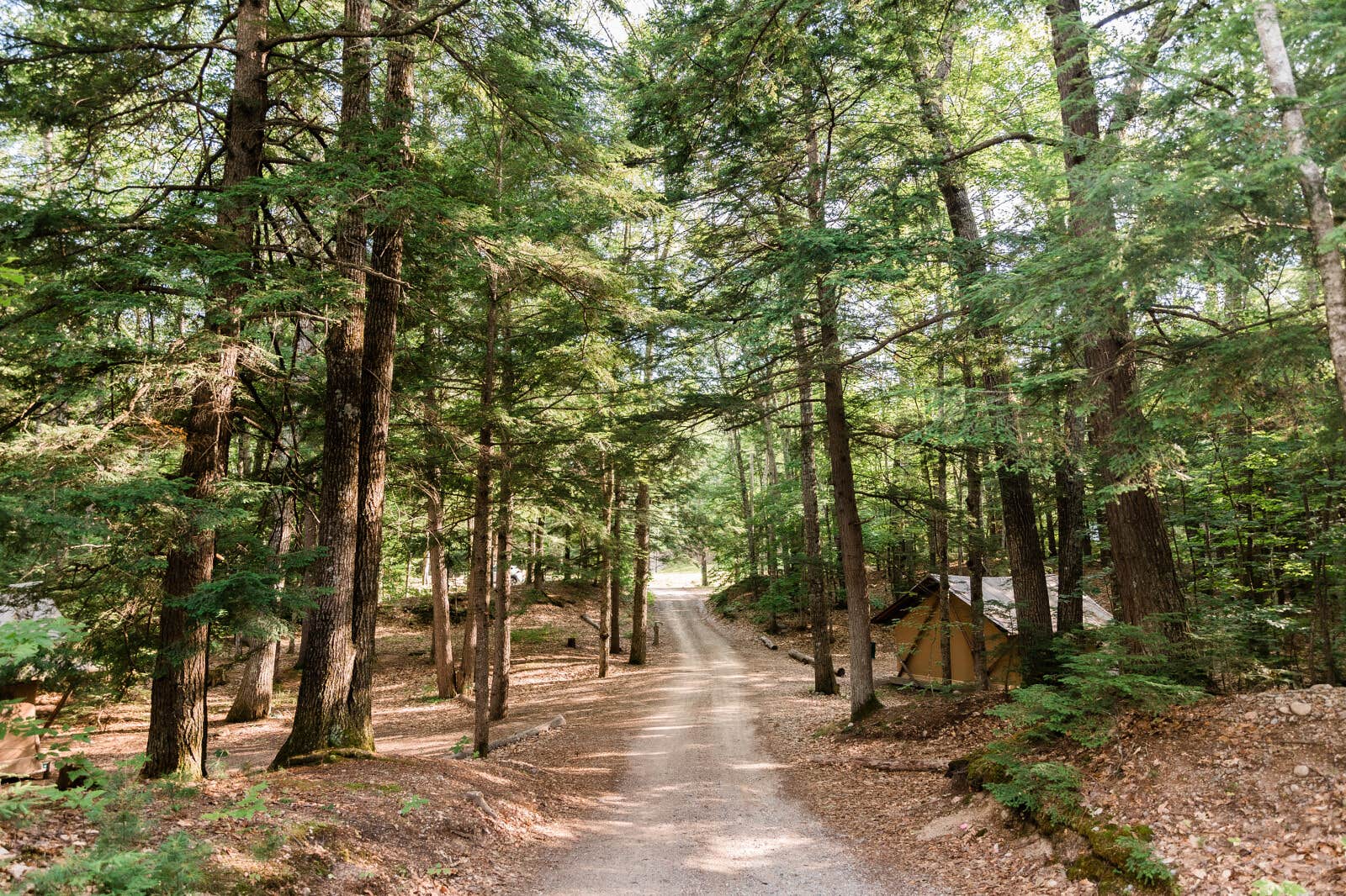 Huttopia N.'s photo of glamping accommodations at Huttopia White Mountains near Melvin Village, NH