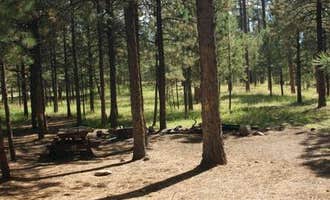 Camping near Ponderosa Group Campground — Bandelier National Monument: Jemez Falls Campground, Jemez Springs, New Mexico