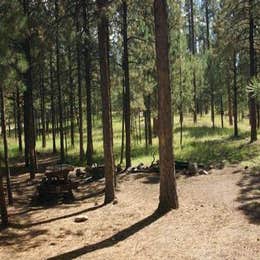 Public Campgrounds: Jemez Falls Campground