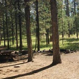 Public Campgrounds: Jemez Falls Campground