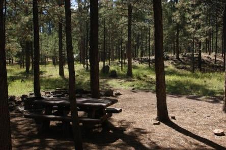 Camper submitted image from Jemez Falls Campground - 4