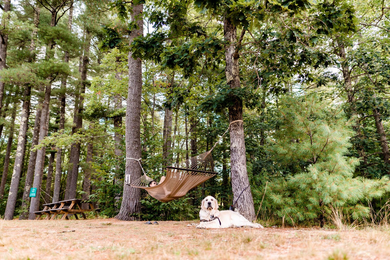 Huttopia N.'s photo of camping with pets at Huttopia Southern Maine near Old Orchard Beach, ME