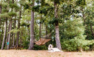 Huttopia N.'s photo of camping with pets at Huttopia Southern Maine near Rochester, NH