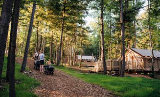 Huttopia N.'s photo of camping with pets at Huttopia Adirondacks near Saratoga Springs, NY