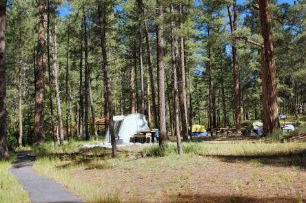 Camper submitted image from San Antonio Campground - 5