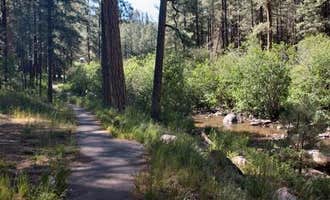Camping near Clear Creek Campground: San Antonio Campground, Jemez Springs, New Mexico