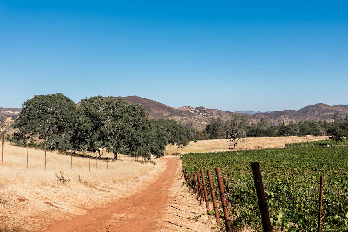 Camper-submitted photo at Huttopia Wine Country near Rumsey, CA