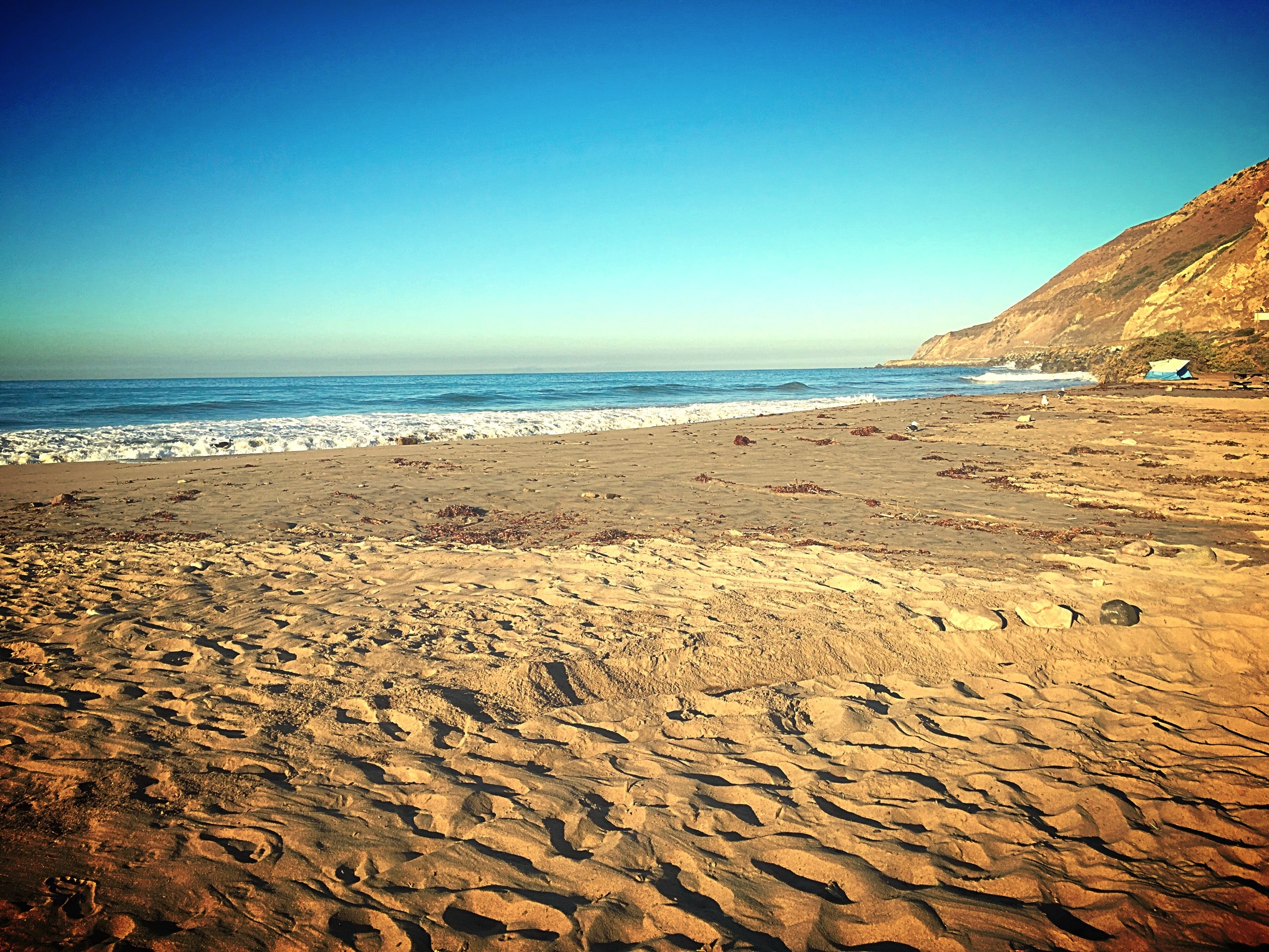 Camper submitted image from Leo Carrillo State Park Campground - 3