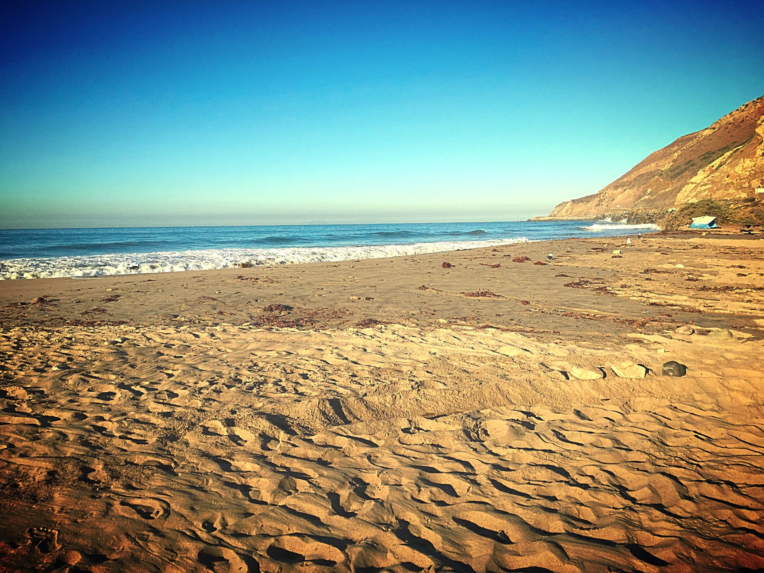 Camper submitted image from Canyon Campground — Leo Carrillo State Park Campground - 3