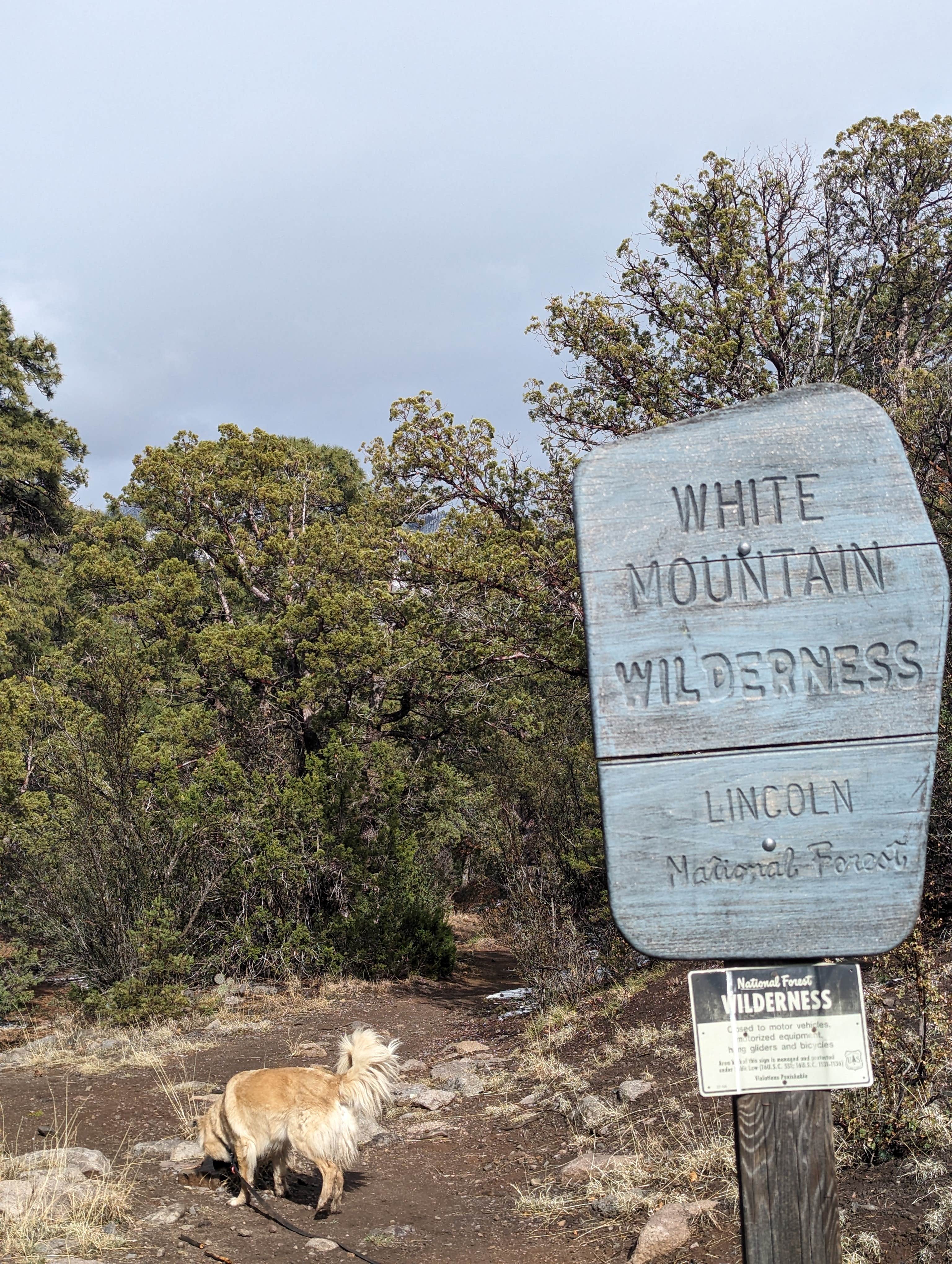 Jorge G.'s photo of camping with pets at Three Rivers Campground near Ruidoso, NM